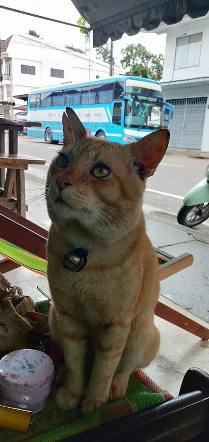 Baan Klang Soi Hotel Prachuap Khiri Khan Buitenkant foto